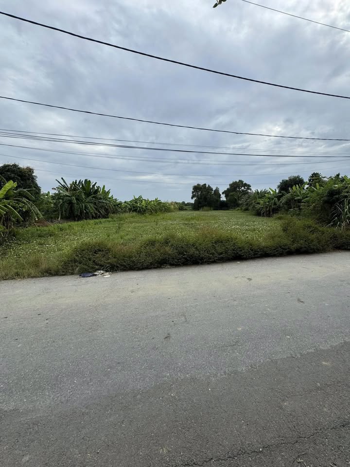 Đất trồng cây lâu năm 2000m² xã Hưng Long, Bình Chánh - Giá chỉ 8 tỷ, sổ hồng chính chủ!