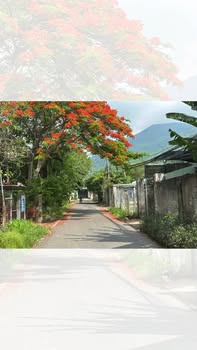 Đất mặt tiền đường số 25, phường Long Hương, 127,3m² - Sổ đỏ chính chủ, giá 1,55 tỷ thương lượng!