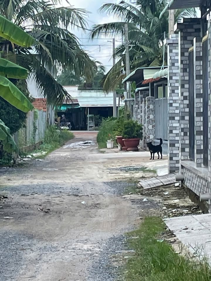 Nhà đất phường Thanh Điền, Châu Thành, Tây Ninh 148m² giá chỉ 400 triệu - Sổ hồng chính chủ!