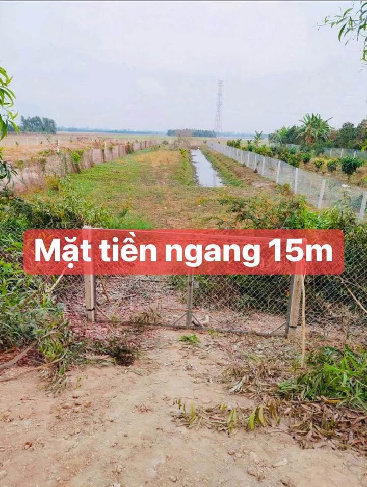 Đất vườn 1.554m² tại Vĩnh Châu, Châu Đốc - Giá 1.014 tỷ - Cơ hội đầu tư hấp dẫn!