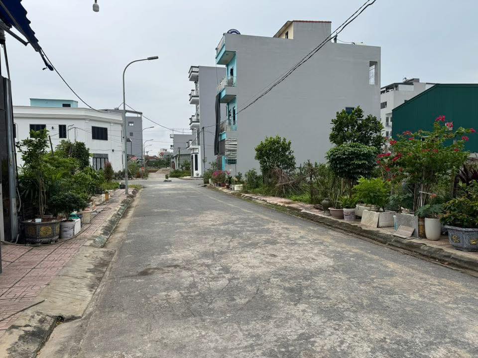 Đất dịch vụ Sơn Đồng, Hoài Đức 103m² - Đầu tư sinh lời nhanh!