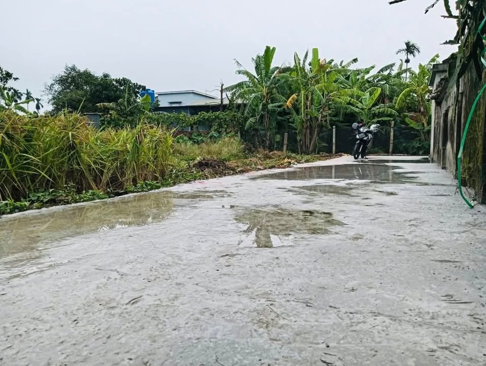 Đất nền xã Nam Hà, huyện Tiền Hải 100m² giá 300 triệu - Đường ô tô vào tận đất!