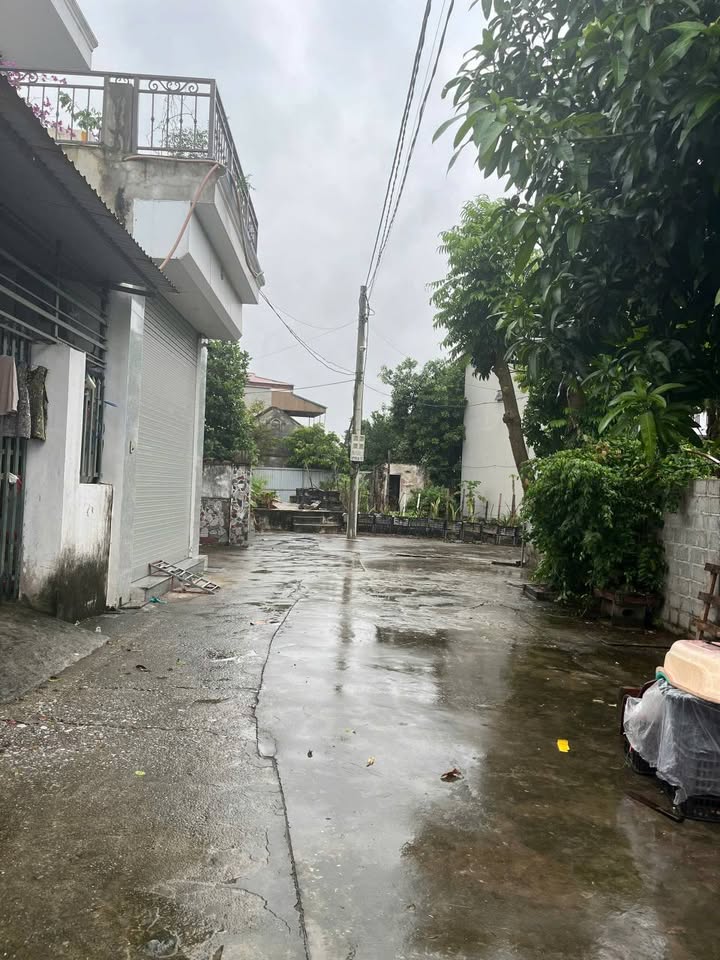 Đất nền Phú Xuân Thái Bình 56m² giá 800 triệu - Đường xe taxi vào tận nhà!