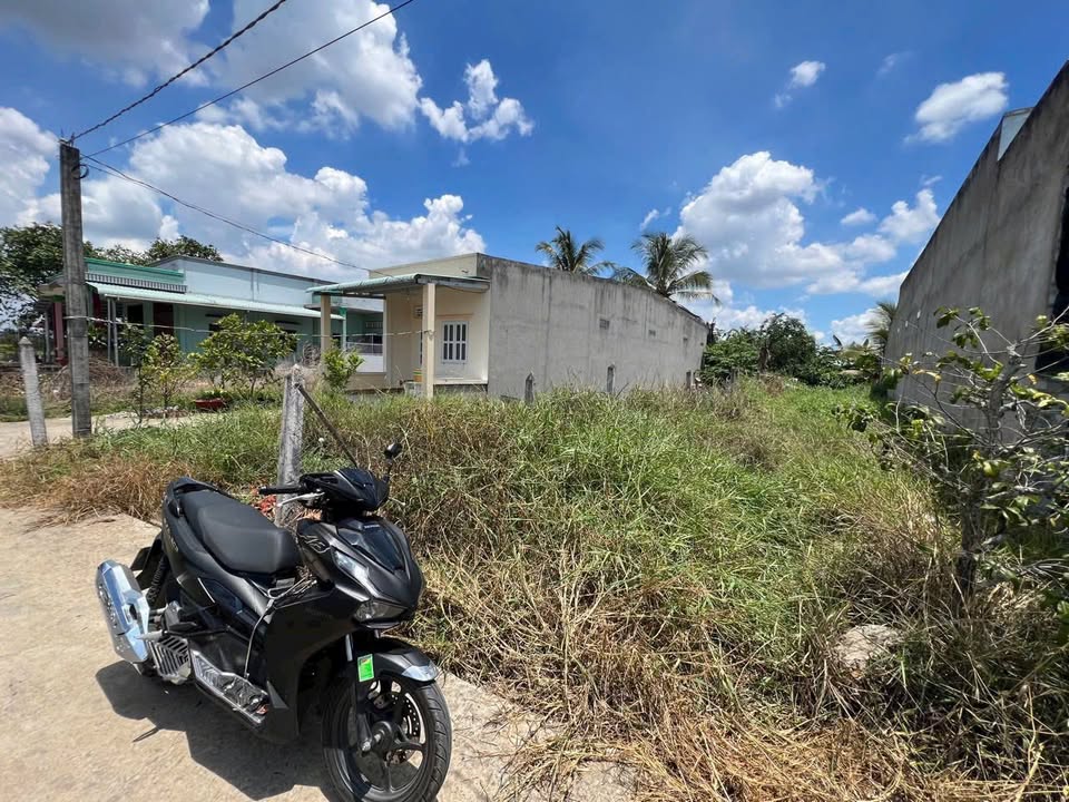 Đất nền 150m² + 233m² vườn tại Tân Trụ - Giá 850 triệu, thương lượng nhẹ!