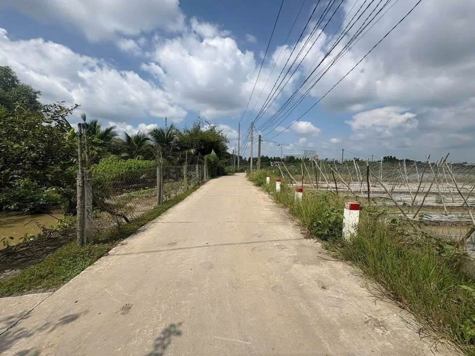 Đất nền 2.100m² mặt tiền tại ấp Chánh Long Hiệp, Bến Lức - Giá 6.7 tỷ thương lượng!