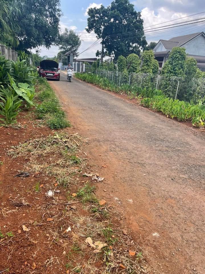 Lô đất thổ cư 550m² tại Buôn Ma Thuột giá 1.75 tỷ - Đầu tư tuyệt vời!