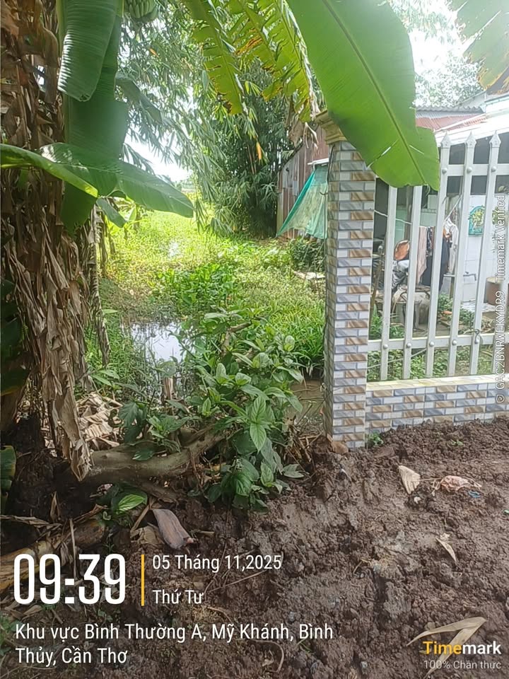 Đất nền An Bình, Cần Thơ 2000m² - Giá đầu tư chỉ 3,5 triệu/m²!