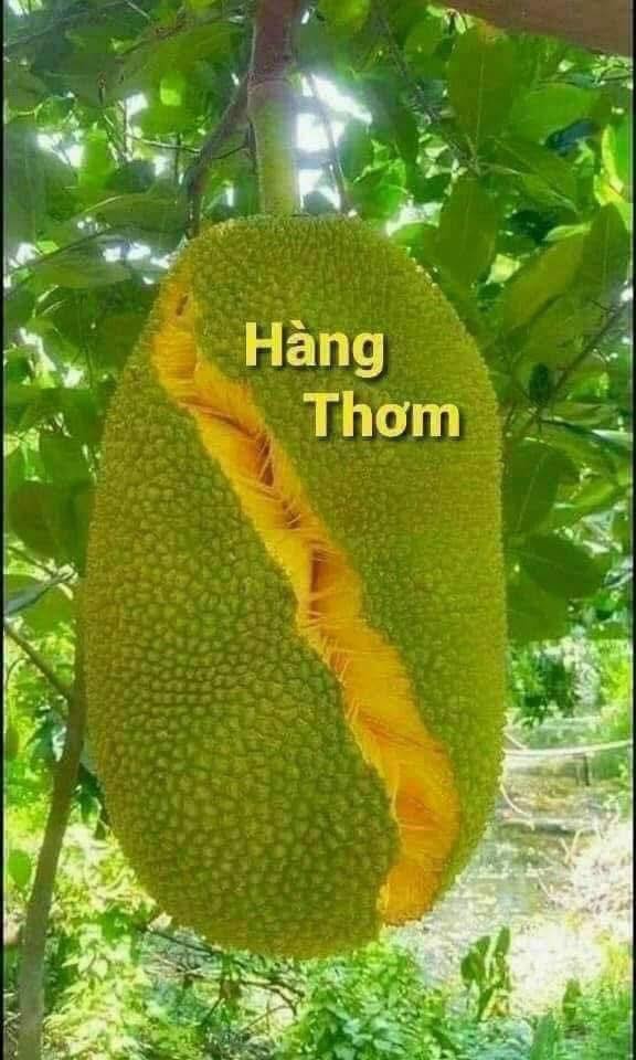 Dãy phòng trọ Hòa Cường Bắc 112m² chỉ 10 triệu/tháng - Đầu tư sinh lời cao!