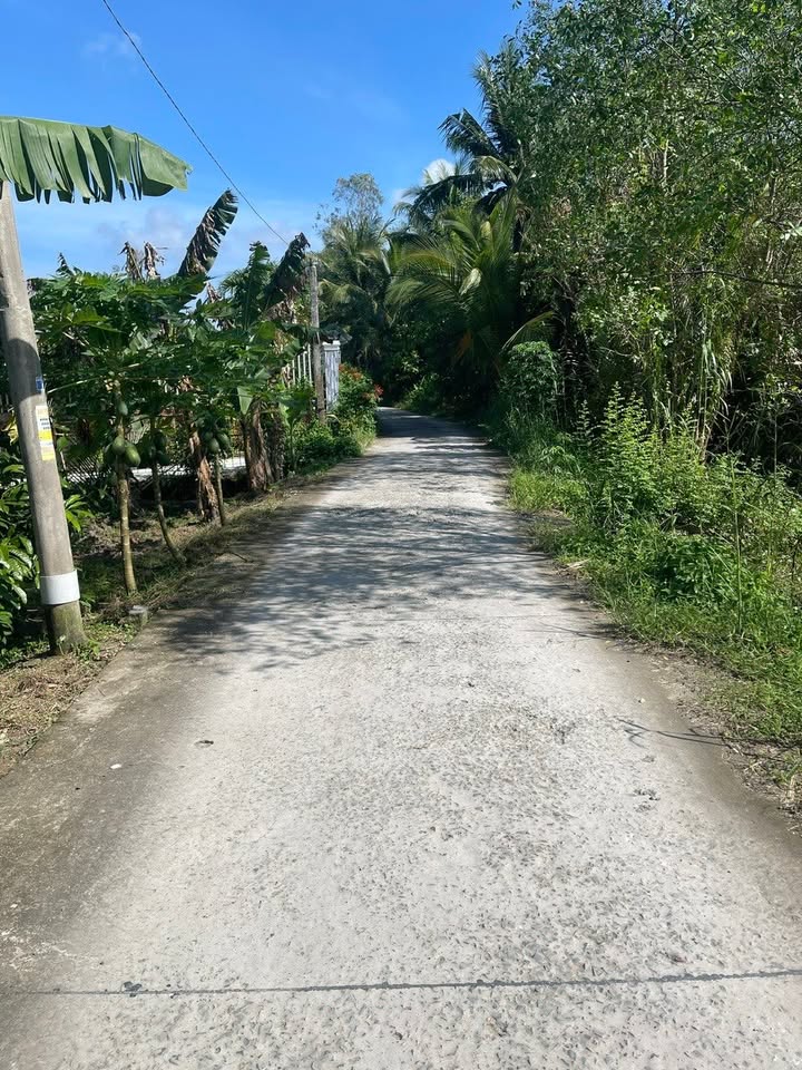 Bán đất nền Phong Điền Cần Thơ 371m² giá 1.56 tỷ - Đất đẹp, thích hợp xây trọ!