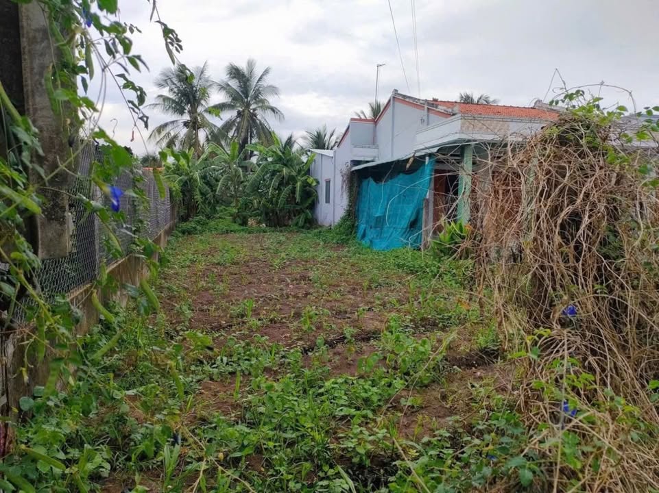 Đất nền Gò Công Tây 303m² giá 900 triệu - Đầu tư sinh lời ngay!