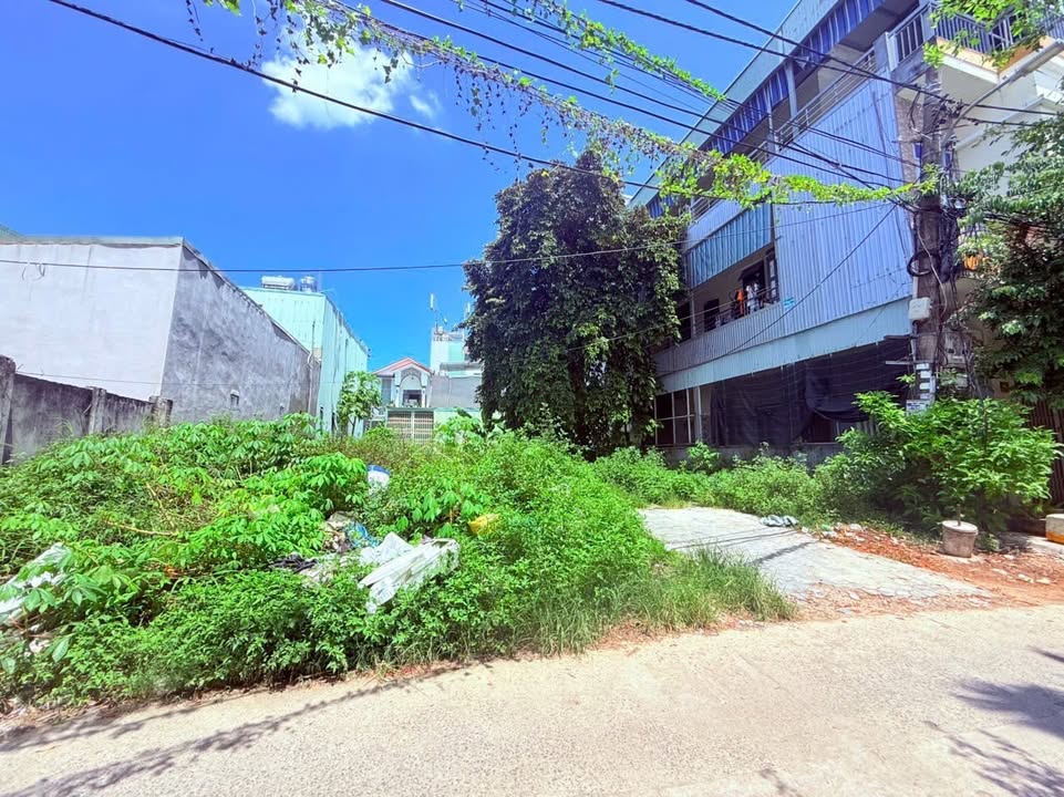 Bán đất Ngô Chân Lưu Liên Chiểu Đà Nẵng 392m² giá 15.5 tỷ - Đầu tư sinh lời ngay!