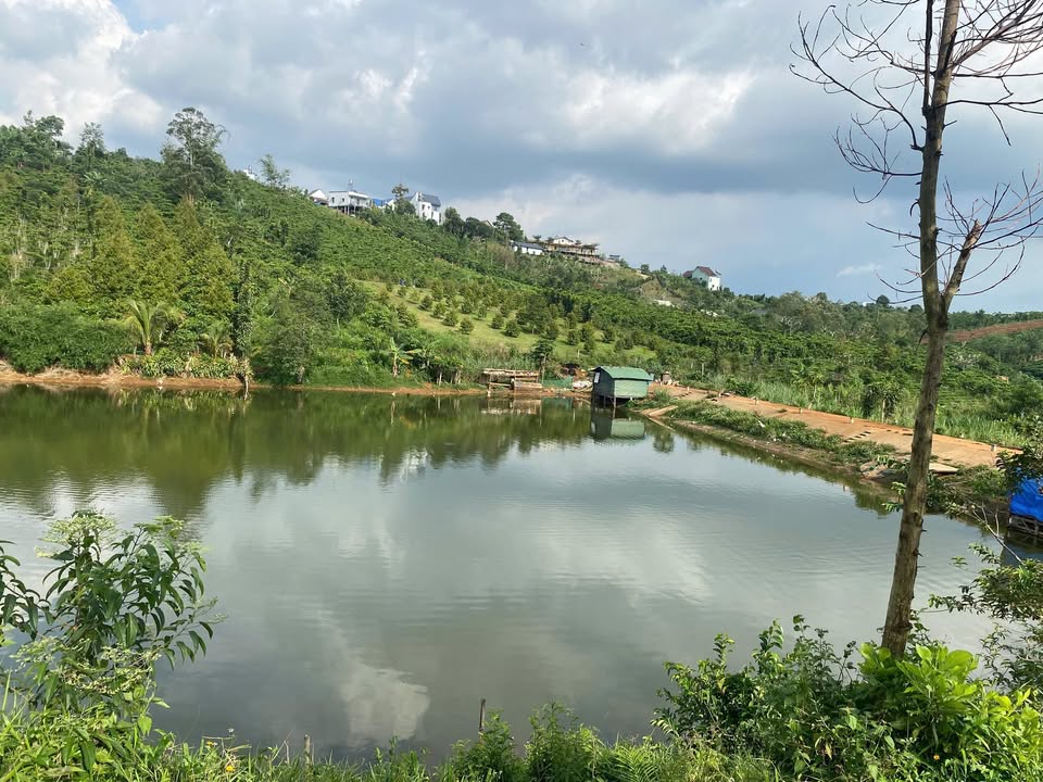 Đất nền 3000m² tại Lộc Tân, Bảo Lâm - Giá chỉ 4.8 tỷ, cơ hội đầu tư hấp dẫn!