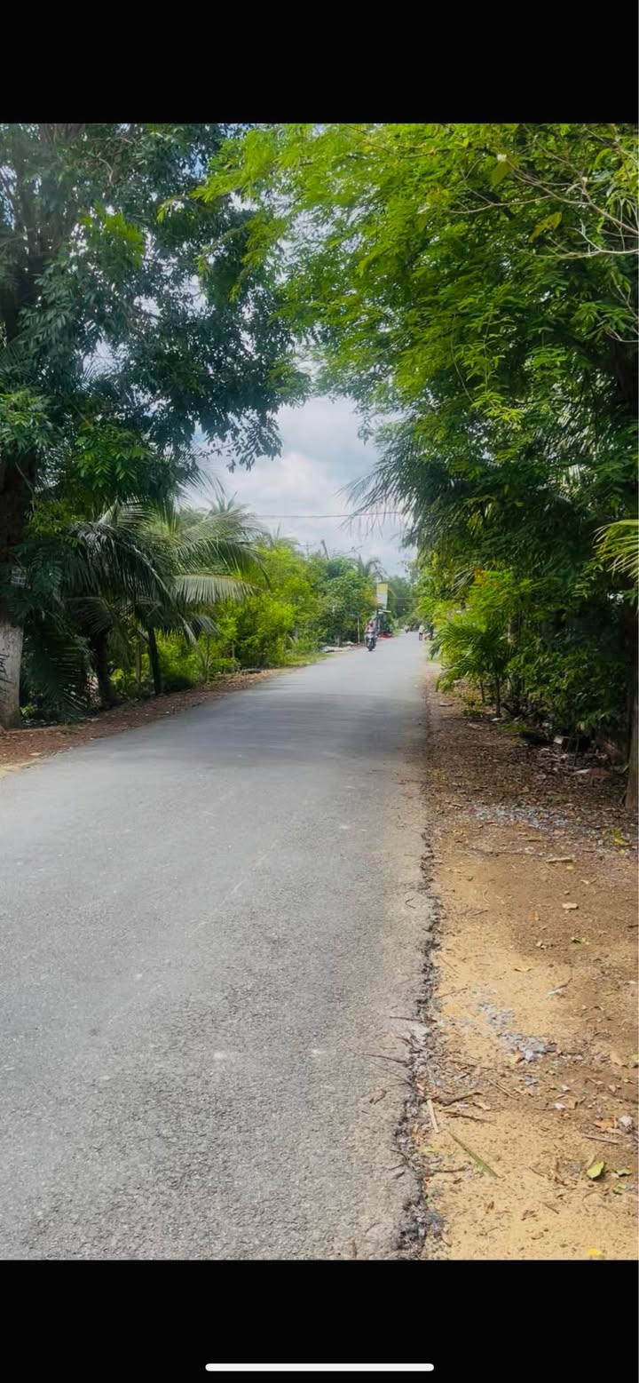 Đất nền huyện Mỏ Cày Nam 319m² giá 780 triệu - Kinh doanh sinh lời ngay!