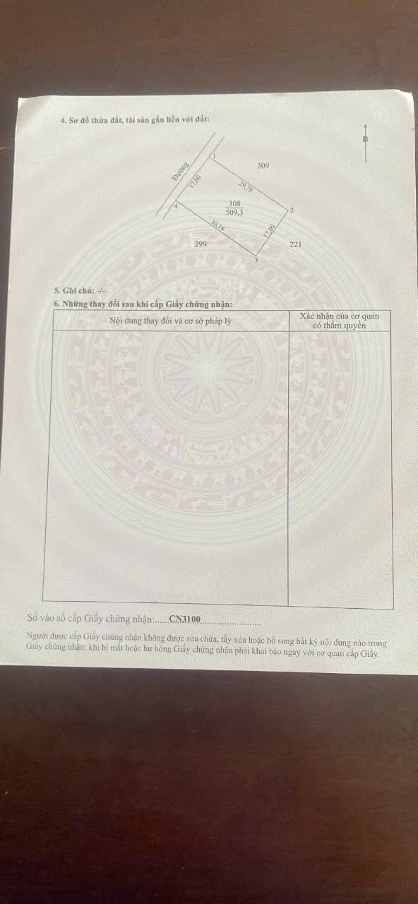 Đất thổ cư Định Trung, Bình Đại 503m² giá 600 triệu - Sổ đỏ chính chủ!