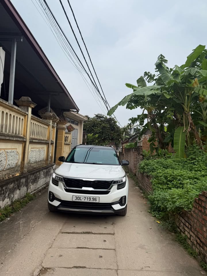 Đất nền Trạch Lôi 52m² giá 1.2 tỷ - Ngõ ô tô thoải mái, gần chợ