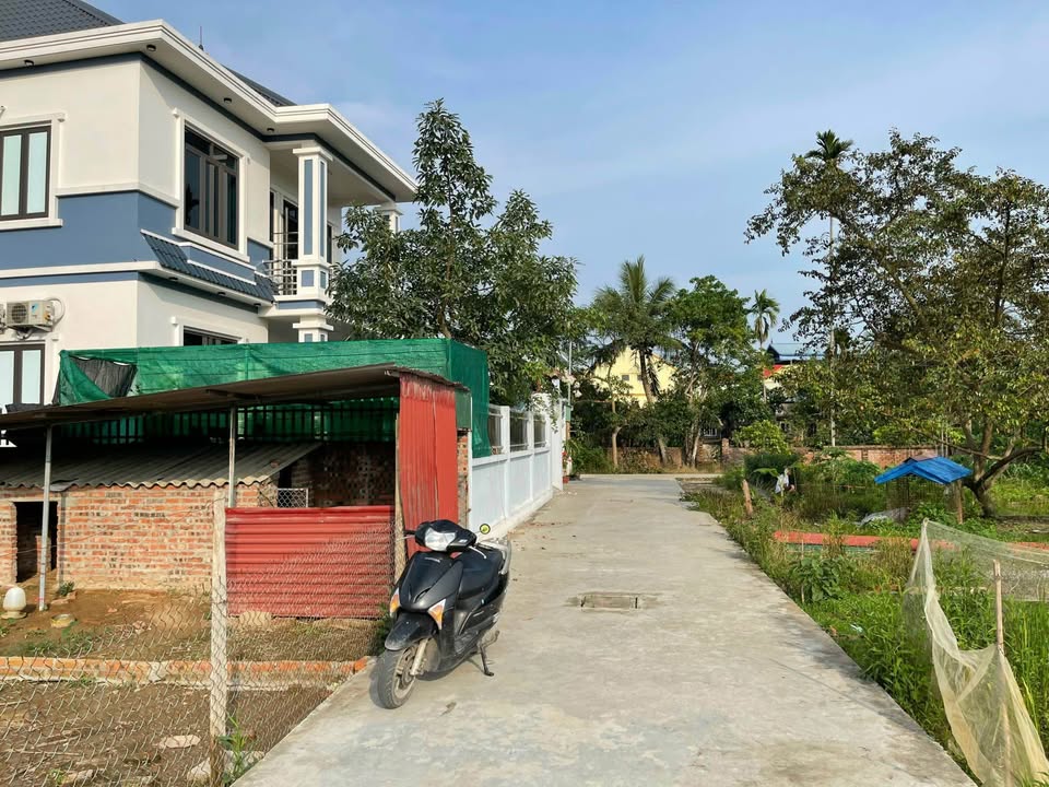 Đất nền An Hải - An Dương 60m² giá 700 triệu - Cơ hội đầu tư tuyệt vời!