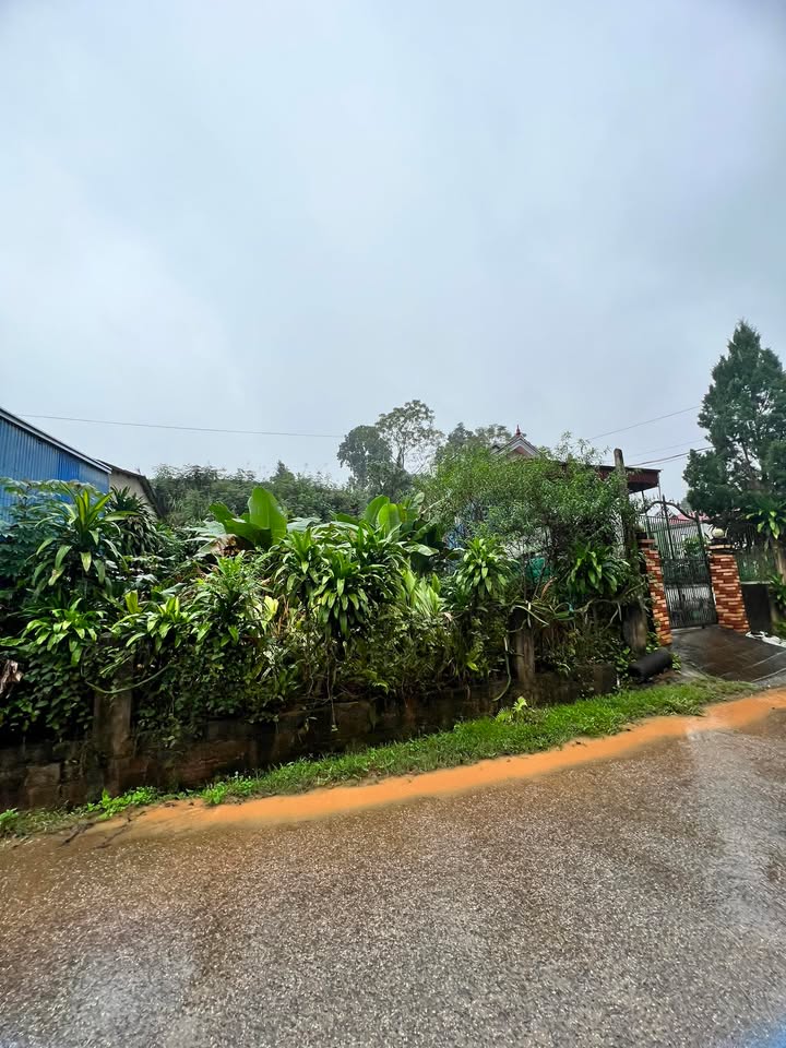 Đất Tân Linh Đại Từ 150m² giá chỉ 5xx triệu - Cơ hội vàng đầu tư!