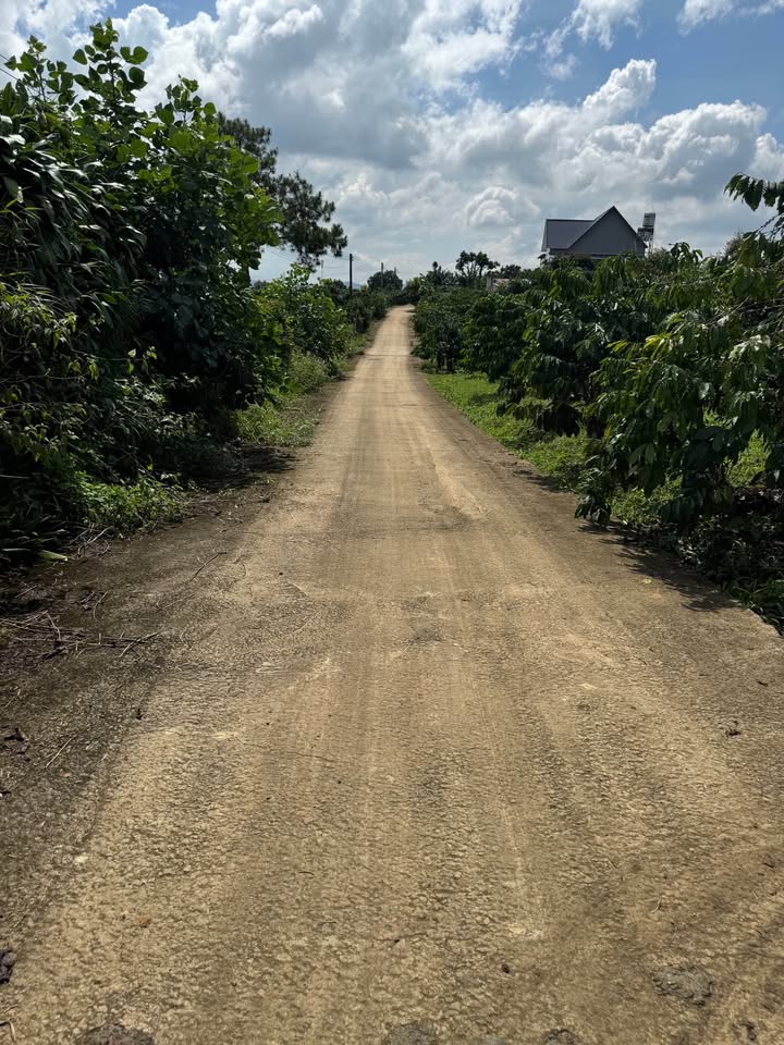 Đất nền Hòa Nam 3807m² giá 3.1 tỷ - Đầu tư sinh lời bền vững!