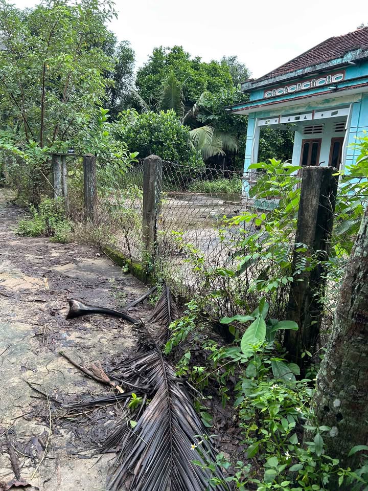 Đất nền Phù Mỹ Bình Định 830m² giá 400 triệu - Sổ hồng đầy đủ!