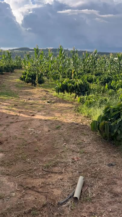 Đất nền Tân Hà, Lâm Hà 360m² giá 144 triệu - Sổ hồng chính chủ, đất bằng