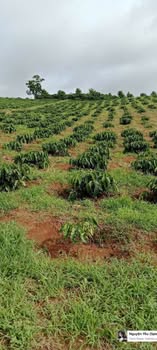 Đất nền Tân Hà Lâm Hà 3.7ha giá chỉ 1.8 tỷ - Cơ hội đầu tư sinh lời!