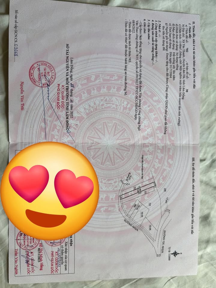 Đất mặt đường nhựa Tân Thanh 1100m² giá 160 triệu - Cơ hội đầu tư hiếm có!