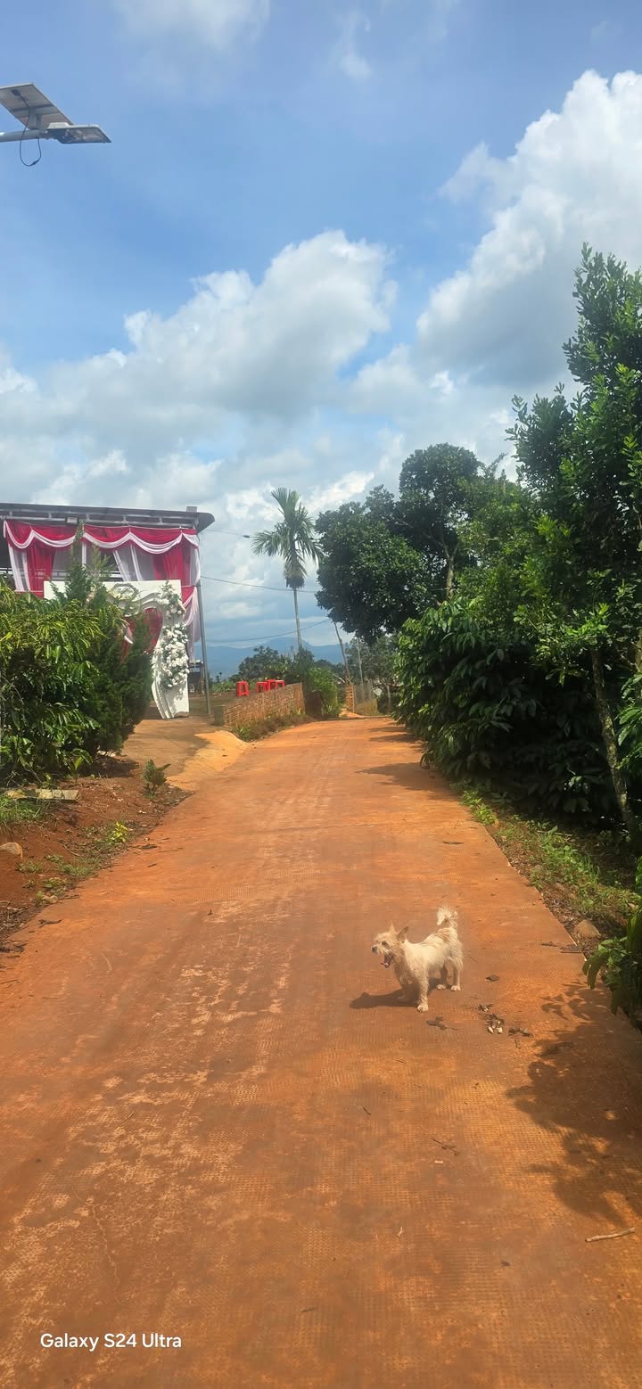 Đất nền Tân Hà Lâm Hà 1100m² giá 800 triệu - Đầu tư sinh lời ngay!