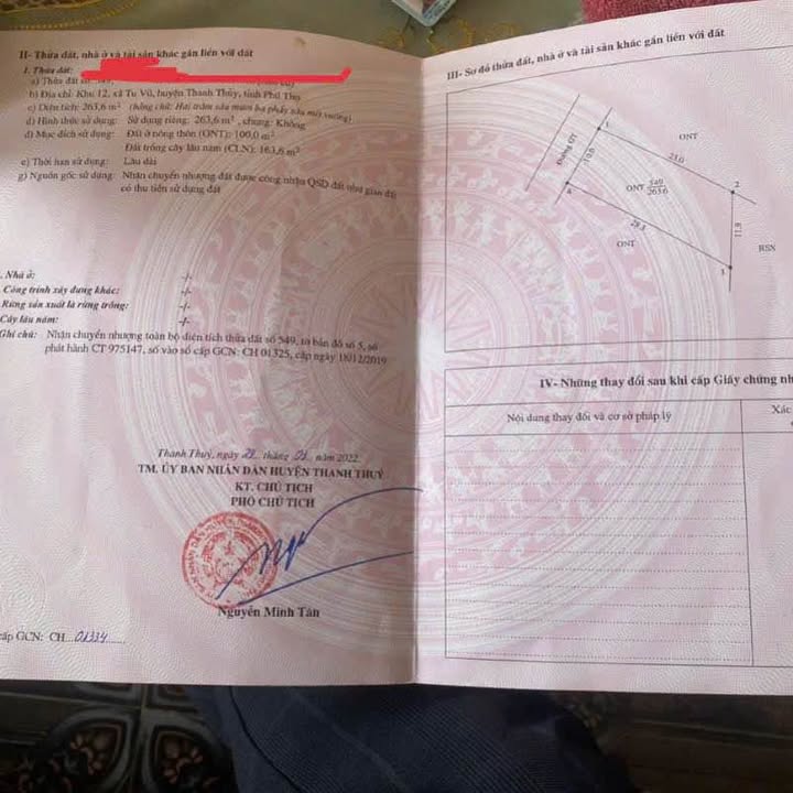 Đất nền gần Trạm Đăng Kiểm Tu Vũ 263m² giá 1.25 tỷ - Cơ hội vàng cho nhà đầu tư!