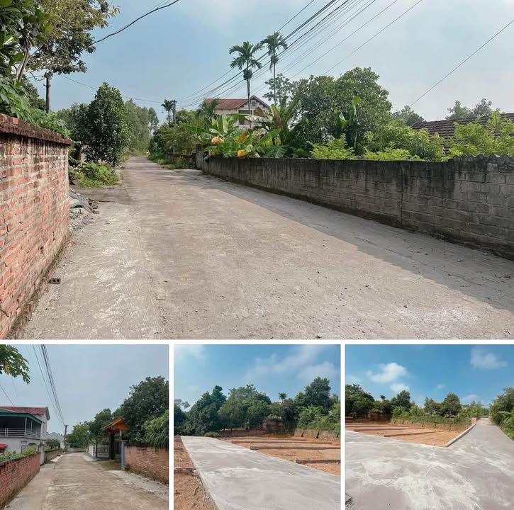 Đất khu 4 - Thanh Đình, Việt Trì 95.7m² giá 600 triệu - Đường bê tông ô tô vào tận nơi!