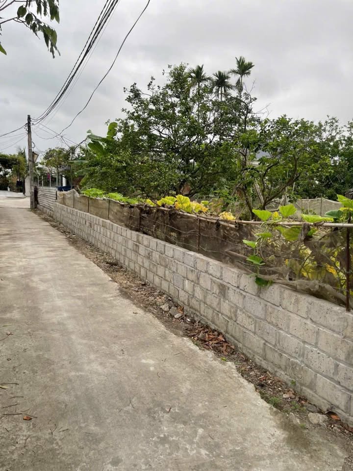 Đất nền Quảng Thanh, Hải Phòng 142.8m² - Sổ đỏ chính chủ, giá chỉ 1 tỷ!