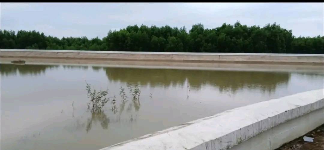 Đất nông nghiệp 14 sào tại Bình Thanh, Quảng Ngãi - Giá chỉ 700 triệu