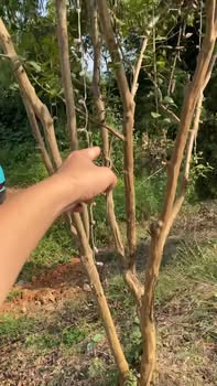 Đất nền TDC Tân Lợi Bảo Thắng 500m² giá 800 triệu - Cơ hội đầu tư sinh lời!