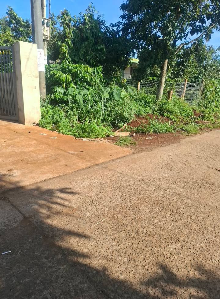 Đất nền khu dân cư Ea Tóh, Krông Năng 280m² giá 460 triệu - Cơ hội đầu tư hấp dẫn!