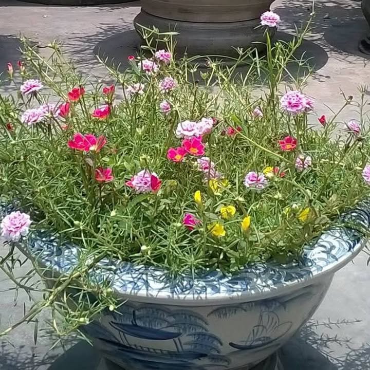 Cần bán khu nghỉ dưỡng tại xã Tràng Lương, Đông Triều 2000m² - Hoạt động ổn định!