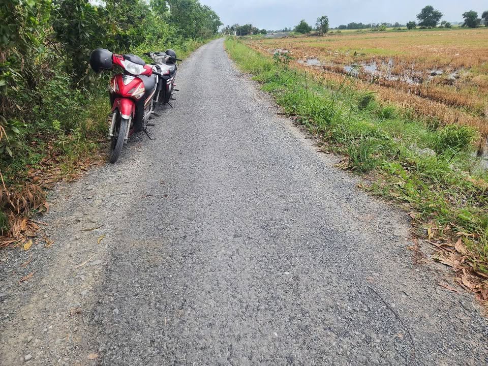 Đất mặt tiền 11m tại Phước Chỉ, Trảng Bàng Tây Ninh 1000m² - Sổ hồng chính chủ bán gấp!