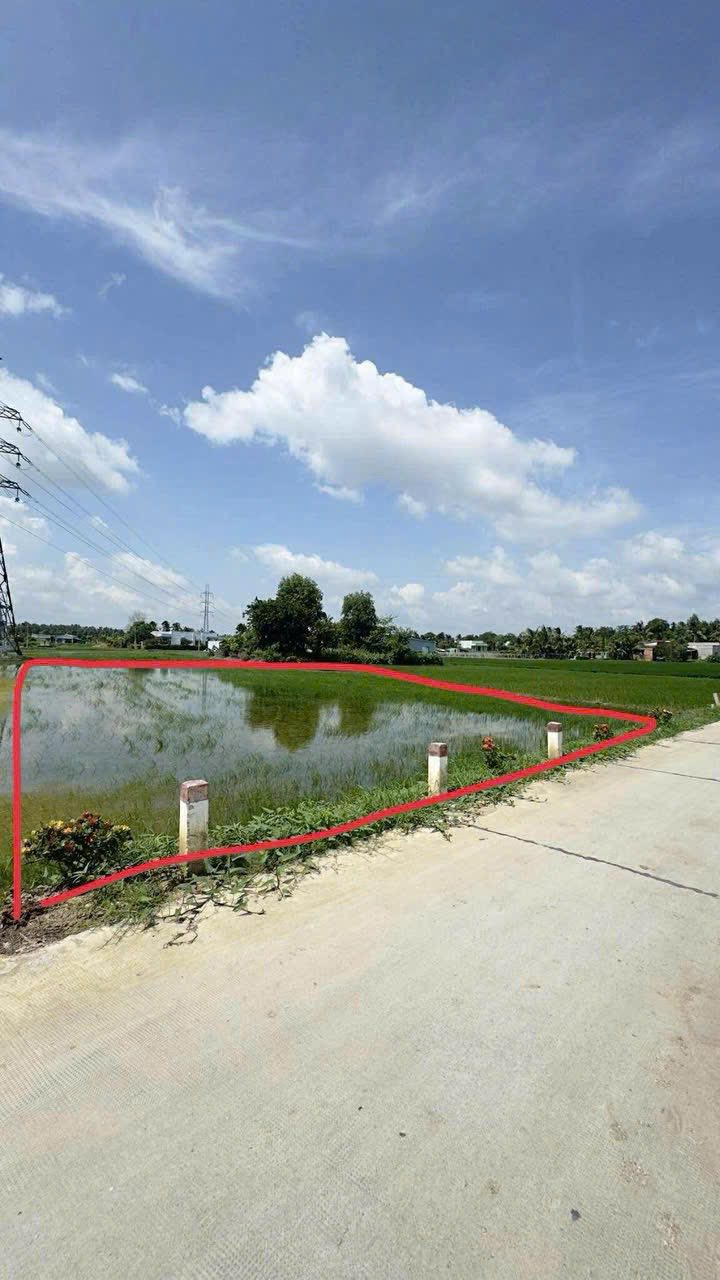 Đất lúa 2000m² tại ấp Lò Gạch, huyện Bến Lức - Giá 4.2 tỷ thương lượng!