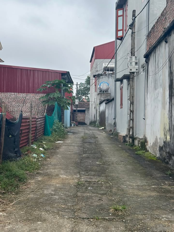 Đất nền xã Tam Đa, Yên Phong 100m² giá 2.1 tỷ - Cơ hội đầu tư hấp dẫn!