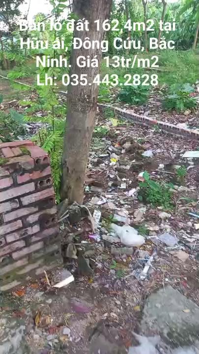 Đất nền 162,4m² tại Hữu Ái, Đông Cứu, Bắc Ninh - Giá chỉ 2.111 tỷ, đầu tư sinh lời ngay!