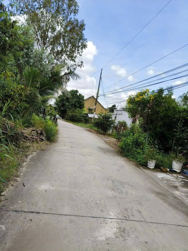 Nhà cấp 4 đẹp và quán nhậu sân vườn mặt tiền đường 946, An Giang - Kinh doanh ngay!