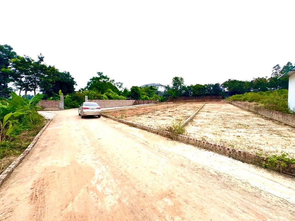 Đất thổ cư Hướng Đạo, Tam Dương 100m² chỉ 600 triệu - Tài lộc rước ngay!