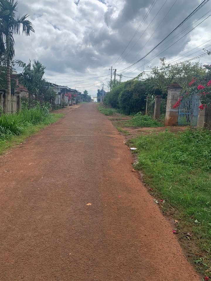 Đất thổ cư Phú Xuân 250m² giá 600 triệu - Mặt tiền đường nhựa, cơ hội đầu tư tốt!