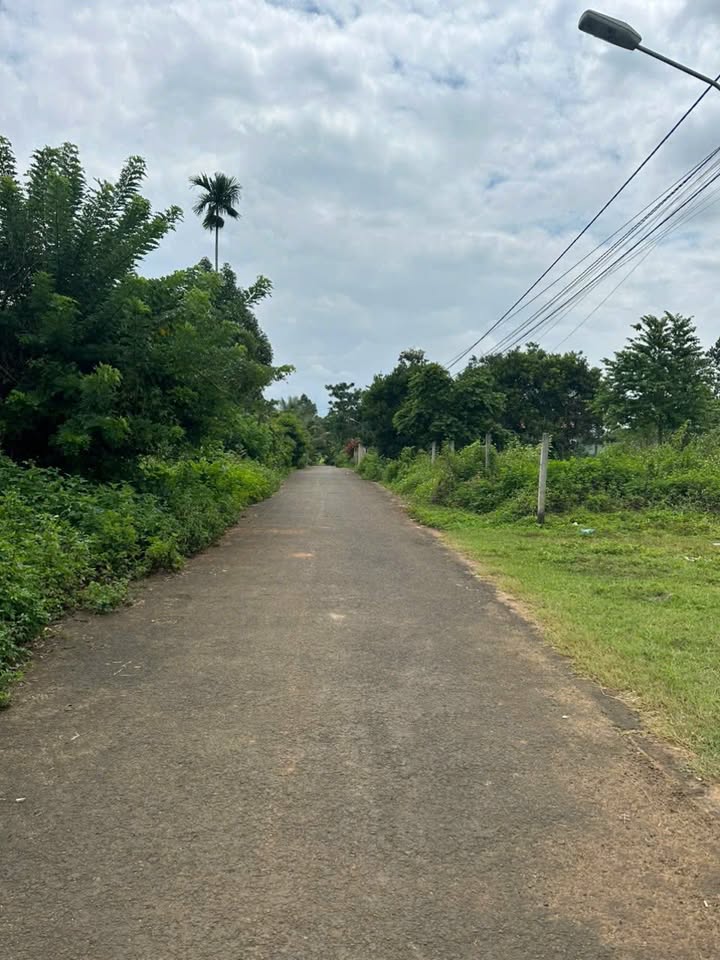 Đất nền Tân Lập, Buôn Ma Thuột 402m² giá 1.299 tỷ - Đầu tư sinh lời tuyệt vời!