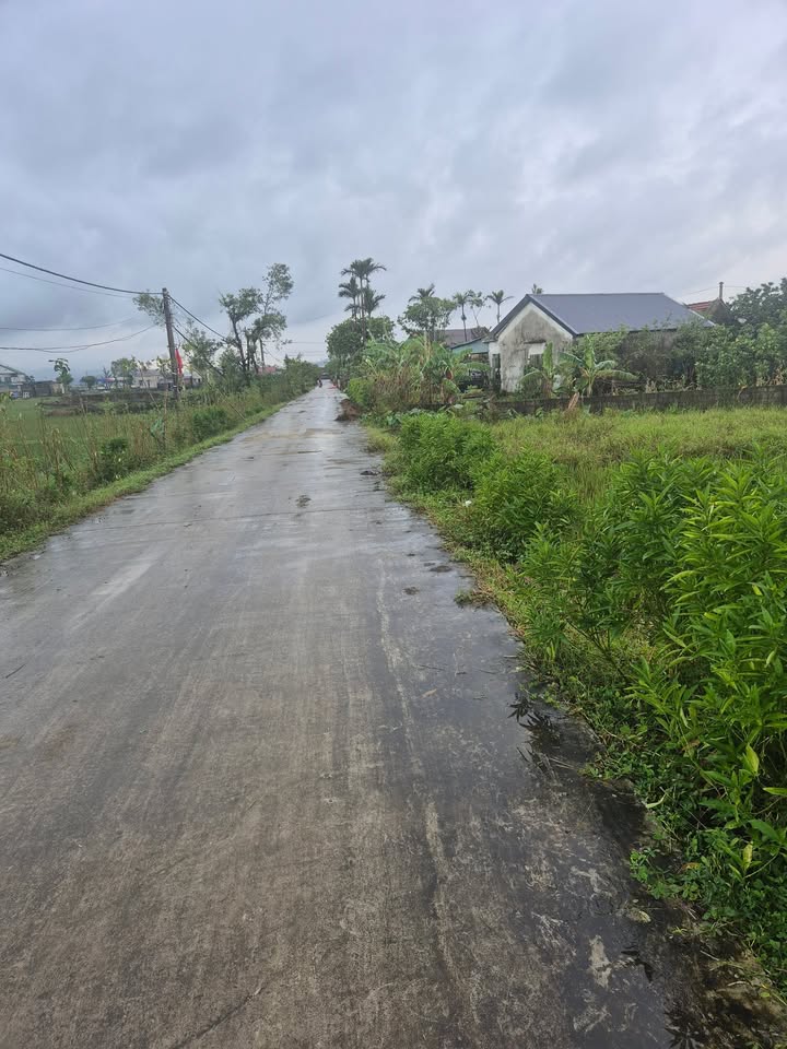 Đất Cẩm Thịnh 725m² - Cạnh Quốc lộ 1A, Giá Thỏa Thuận