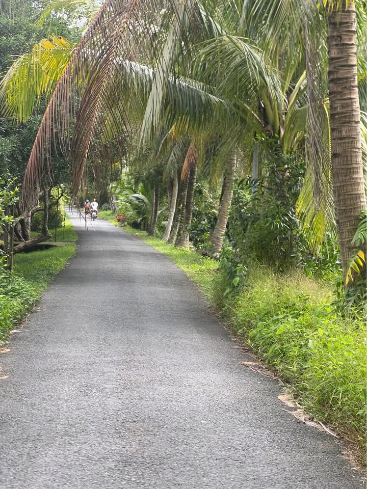 Đất nền mặt tiền 20m xã Kim Sơn, Châu Thành, Tiền Giang 1400m² giá 2.5 tỷ - Đầu tư sinh lời ngay!