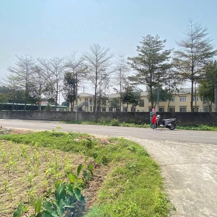 Đất ở Xuân Thành 161m² giá 1.8 tỷ - Chính chủ bán gấp!