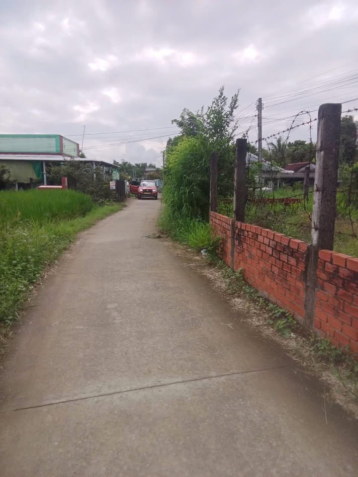 Đất nền Tân Xuân, Ba Tri 419.1m² chỉ 400 triệu - Sổ hồng chính chủ!