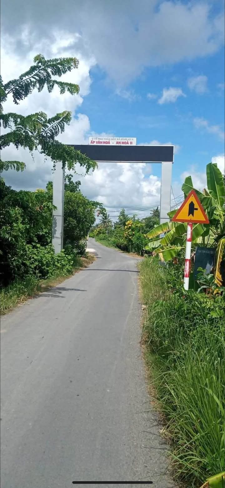 Đất thổ cư 1538m² An Hòa 2, Bình An - Giá chỉ 1.3 tỷ, cơ hội đầu tư tuyệt vời!