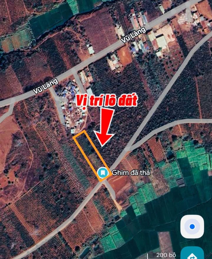 Đất rẫy 2542.5m² giá 600 triệu - Chính chủ bán gấp tại Pleiku!