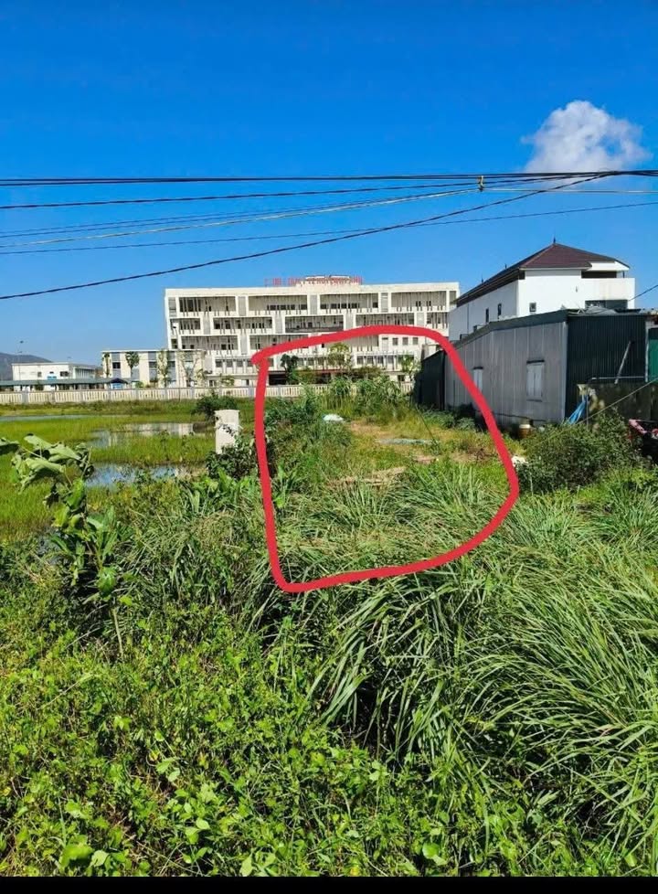 Đất nền Quốc lộ 1A, Kỳ Anh, 216m² chỉ 3 tỷ - Đầu tư sinh lời ngay!