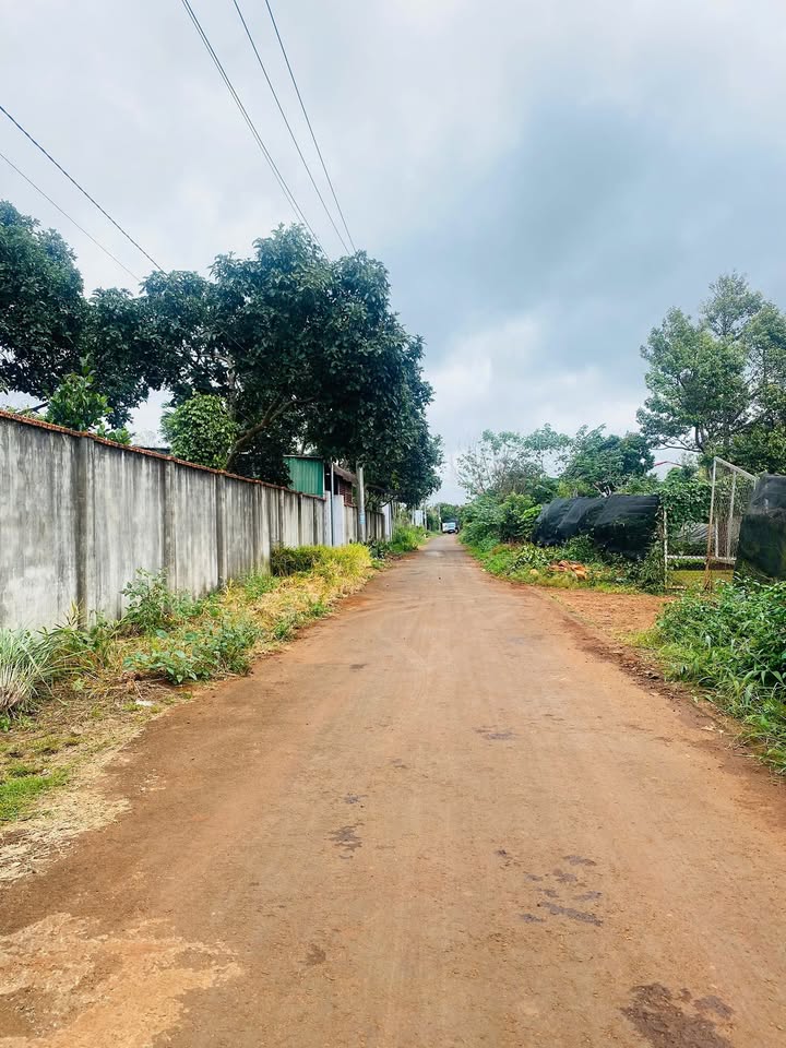 Đất nền Thôn 8 Tân Lập Buôn Ma Thuột 195m² giá 1.55 tỷ - Pháp lý rõ ràng, đầu tư sinh lời!